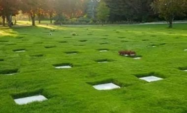 Venta De Sepultura Parque Del Recuerdo Cordillera