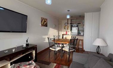 Se arrienda depto amoblado de marzo a diciembre