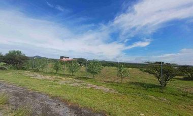 SE VENDE TERRENO CON CASA CAMPESTRE ,EN COMPLEJO RUSTICO EL PEDERNAL, LOMAS DE JESUS MA. AGS.