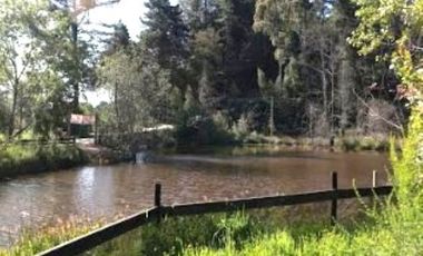 Terreno comercial orilla ruta 206 $ 320.000----