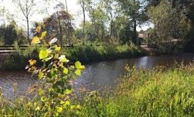 Terreno comercial orilla ruta 206 $ 320.000----