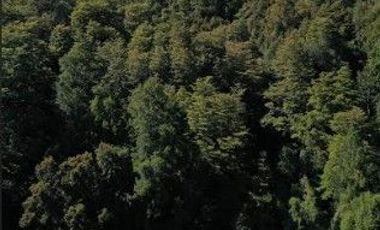 Terreno de 6 hectáreas Orilla Rio Santo Domingo $ 400.000. 000.