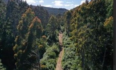 Terreno de 6 hectáreas Orilla Rio Santo Domingo $ 400.000. 000.