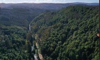 Terreno de 6 hectáreas Orilla Rio Santo Domingo $ 400.000. 000.