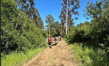 Terreno de 6 hectáreas Orilla Rio Santo Domingo $ 400.000. 000.