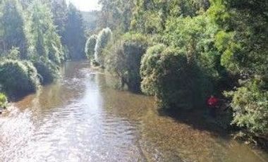 Terreno de 6 hectáreas Orilla Rio Santo Domingo $ 400.000. 000.