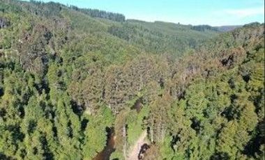 Terreno de 6 hectáreas Orilla Rio Santo Domingo $ 400.000. 000.