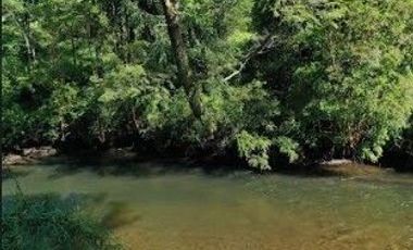 Terreno de 6 hectáreas Orilla Rio Santo Domingo $ 400.000. 000.