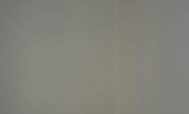 Departamento en renta Centro (Segundo piso 308)