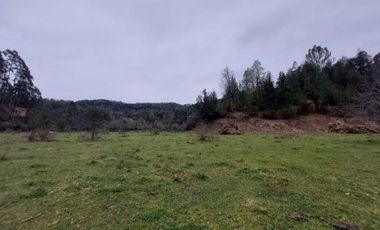 Liquidamos Ultima Parcela Orilla de Rio Santo Domingo $ 82.000.000.