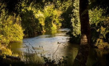 Liquidamos Ultima Parcela Orilla de Rio Santo Domingo $ 82.000.000.