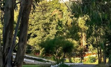 Liquidamos Ultima Parcela Orilla de Rio Santo Domingo $ 82.000.000.