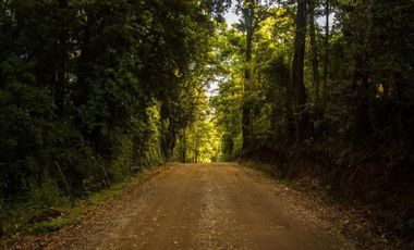 Liquidamos Ultima Parcela Orilla de Rio Santo Domingo $ 82.000.000.