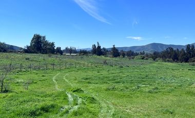 Parcela 4,4 hectáreas Codigua Melipilla Región Metropolitana – Excelente inversión