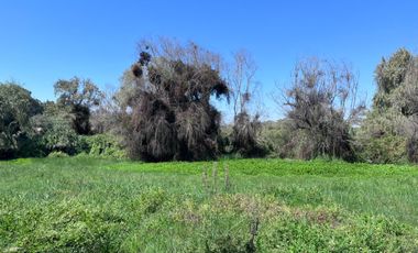 Parcela de 4,4 hectáreas Codigua Melipilla RM
