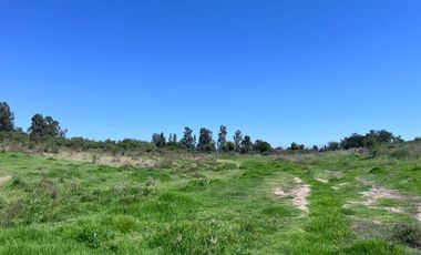 Parcela de 4,4 hectáreas Codigua Melipilla RM