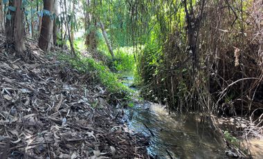 Parcela de 4,4 hectáreas Codigua Melipilla RM
