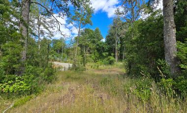 Cabaña en Venta en Parcela de 5.000 m² – Sector Chancoyán Alto, Valdivia