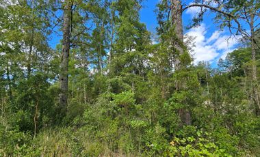 Cabaña en Venta en Parcela de 5.000 m² – Sector Chancoyán Alto, Valdivia