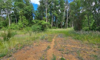 Cabaña en Venta en Parcela de 5.000 m² – Sector Chancoyán Alto, Valdivia