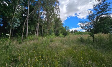 Cabaña en Venta en Parcela de 5.000 m² – Sector Chancoyán Alto, Valdivia