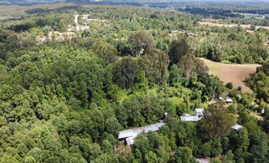 Cabaña en Venta en Parcela de 5.000 m² – Sector Chancoyán Alto, Valdivia