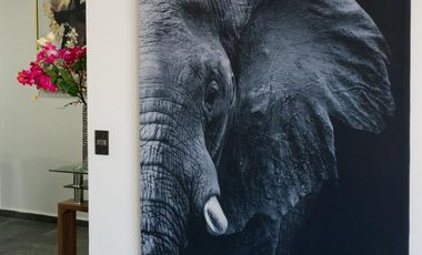 Venta de Departamento en Cuautlancingo