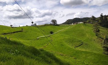 INVERSION CON FUTURO : FINCA LECHERA DE 16 CUADRAS, AGUA Y TOPOGRAFIA PERFECTA EN LA UNION