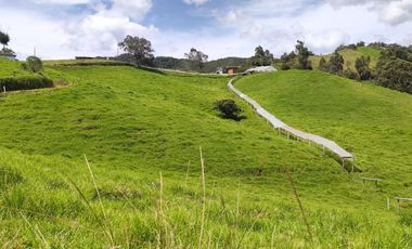 INVERSION CON FUTURO : FINCA LECHERA DE 16 CUADRAS, AGUA Y TOPOGRAFIA PERFECTA EN LA UNION
