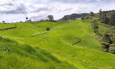 INVERSION CON FUTURO : FINCA LECHERA DE 16 CUADRAS, AGUA Y TOPOGRAFIA PERFECTA EN LA UNION