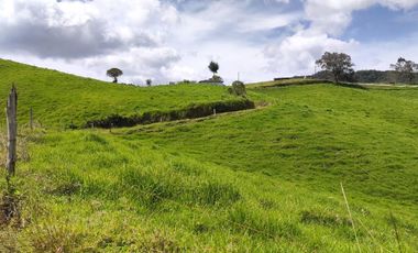 INVERSION CON FUTURO : FINCA LECHERA DE 16 CUADRAS, AGUA Y TOPOGRAFIA PERFECTA EN LA UNION