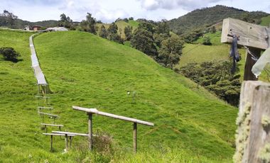 INVERSION CON FUTURO : FINCA LECHERA DE 16 CUADRAS, AGUA Y TOPOGRAFIA PERFECTA EN LA UNION