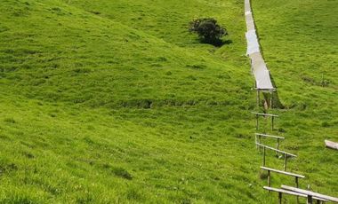 INVERSION CON FUTURO : FINCA LECHERA DE 16 CUADRAS, AGUA Y TOPOGRAFIA PERFECTA EN LA UNION