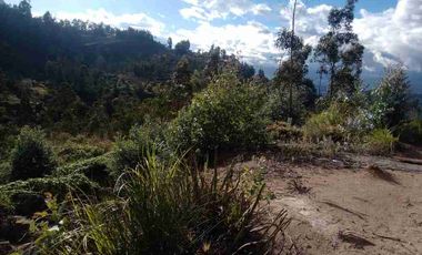 vendo terreno en Chaullabamba