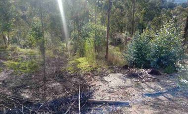 vendo terreno en Chaullabamba