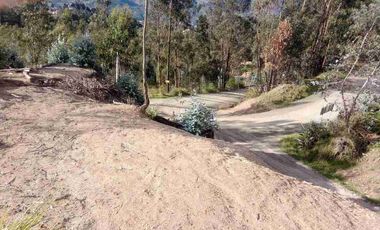 vendo terreno en Chaullabamba