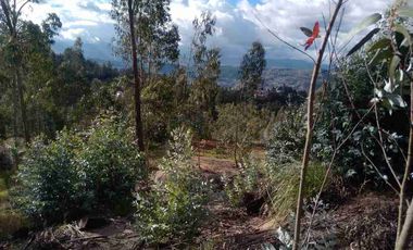 vendo terreno en Chaullabamba