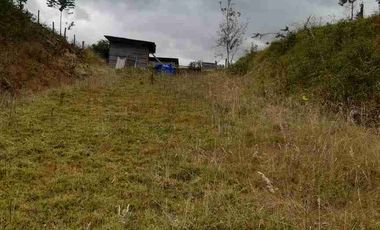 vendo terreno en San Pedro del valle