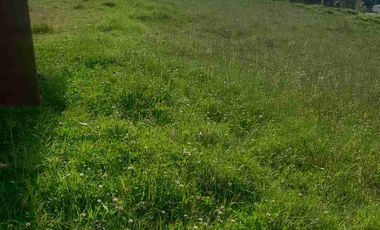 vendo terreno en San Pedro del valle