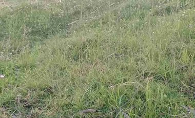 vendo terreno en Av de los cerezos