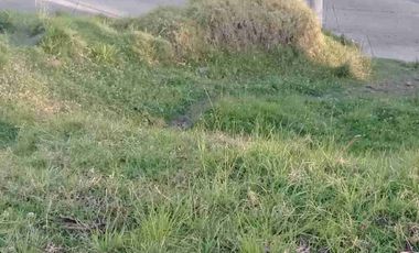 vendo terreno en Av de los cerezos