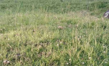 vendo terreno en Av de los cerezos