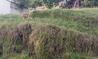 vendo terreno en Av de los cerezos