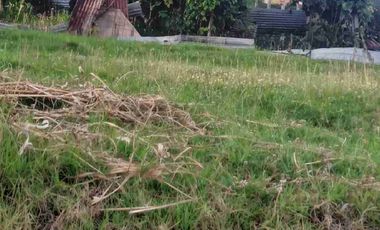 vendo terreno en Av de los cerezos