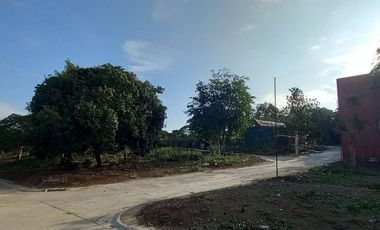Residential Lot For Sale in Bukal Mendez Cavite-MC