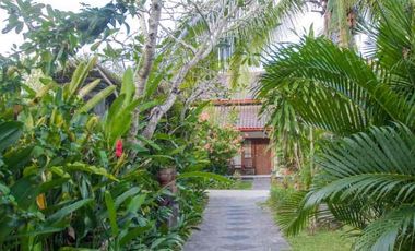 hotel murah di Kuta Mandalika Lombok