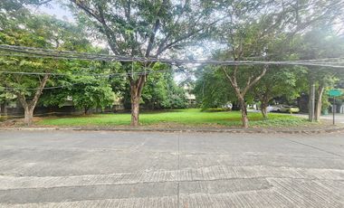 Corner Lot For Sale Ayala Alabang Muntinlupa Residential Lot Open For Small Cut