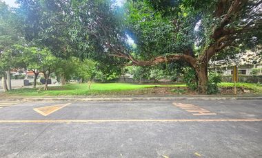 Corner Lot For Sale Ayala Alabang Muntinlupa Residential Lot Open For Small Cut