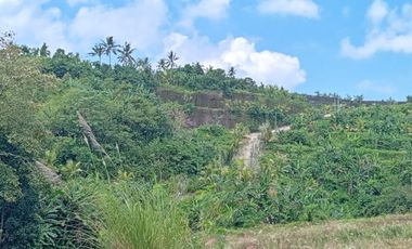 Dijual rumah bagus cantik mewah dan murah di Grand Niravadhi Resort Villa Batuaji Tabanan Bali siaphuni minimalis modern