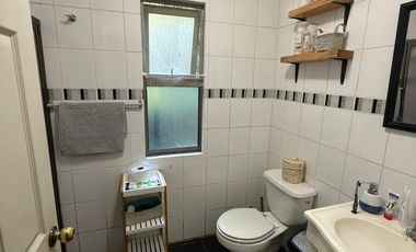 Casa en parcela de 6000M2 sector Los Robles camino a Coihueco Chillán